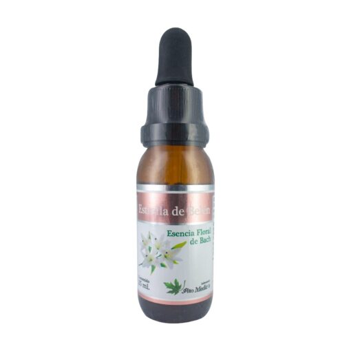 ESENCIA ESTRELLA DE BELEN X 25 ML FDICS Fitomedics 25 mL