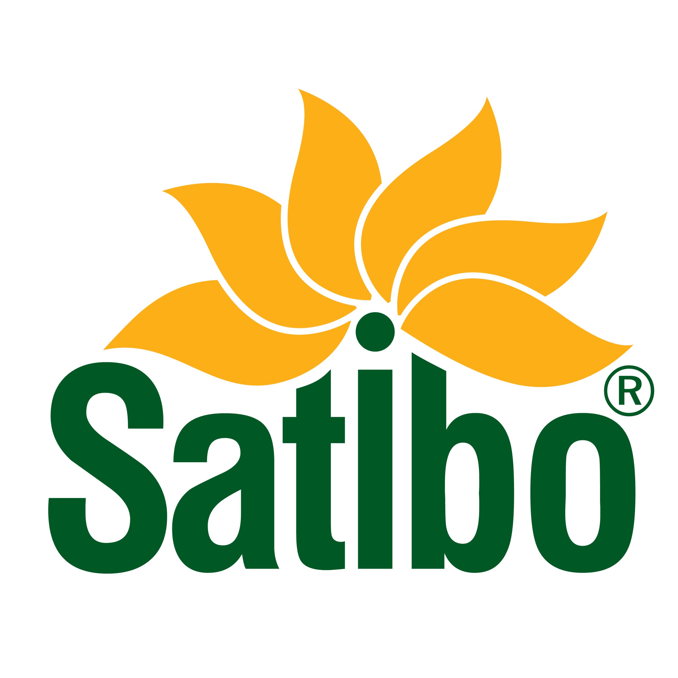 Satibo